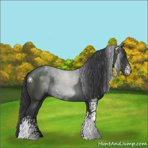 Horse Color:White Spotted Black Sabino