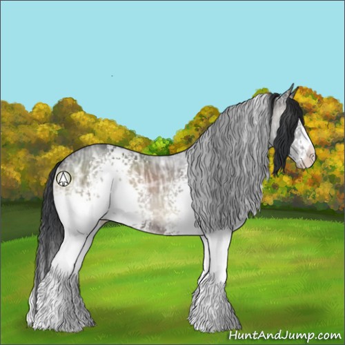 Horse Color:White Spotted Blue Onyx Ice Rabicano
