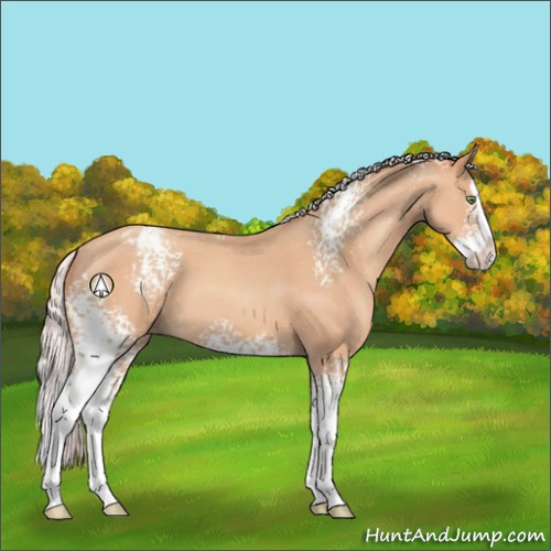 Horse Color:White Spotted Silver Amber Champagne Splash Snowcap 