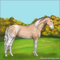 Horse Color:White Spotted Silver Amber Champagne Splash Snowcap 