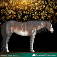 Horse Color:Brown Sabino 