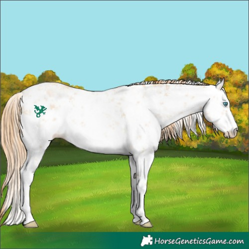 Horse Color:White Spotted Buckskin Pearl Sabino 