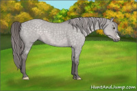 Horse Color:Platinum Chocolate Palomino Dun 