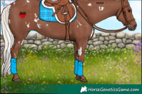 Horse Color:White Spotted Chocolate Silver Black 