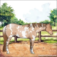 Horse Color:White Spotted Brown Roan Pearl
