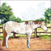 Horse Color:White Spotted Buckskin Pearl Dun Sabino 