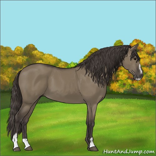 Horse Color:Smoky Grullo Sabino 