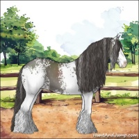 Horse Color:White Spotted Grullo Sabino Blanket 