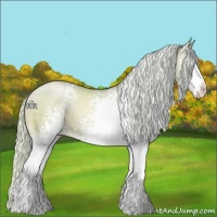 Horse Color:Watercolor White Spotted Silver Buckskin Pearl Dun 