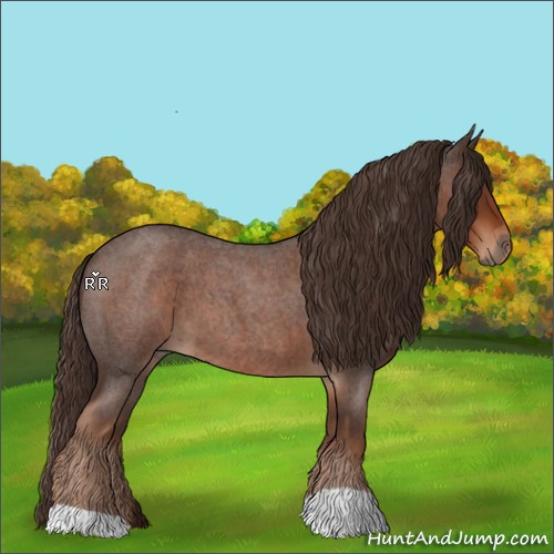 Horse Color:Liver Red Roan 