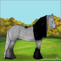 Horse Color:Void Silver Grullo Chinchilla Tobiano 
