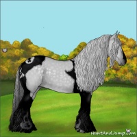 Horse Color:Void Silver Grullo Chinchilla Tobiano 