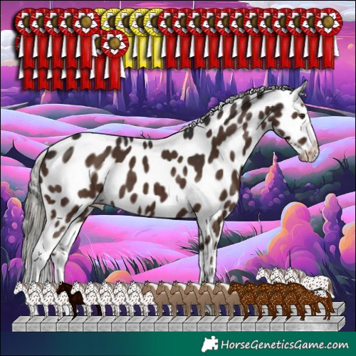 Horse Color:Liver Chestnut Mushroom Appaloosa 