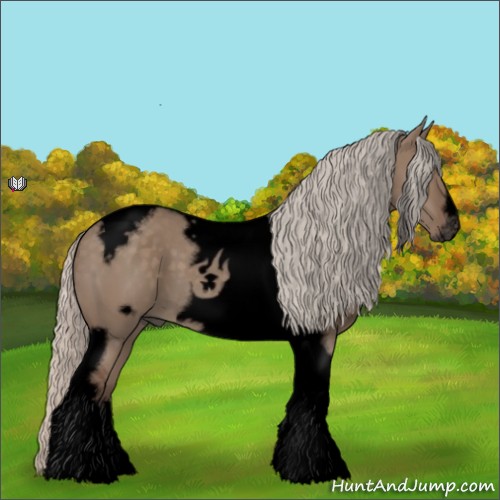 Horse Color:Void Silver Grullo Tobiano Frame 