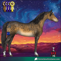 Horse Color:Buckskin 