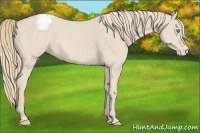 Horse Color:Smoky Creme Varnish 