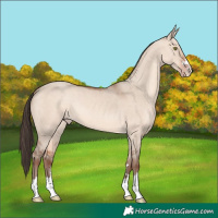 Horse Color:Amber Champagne Dun 