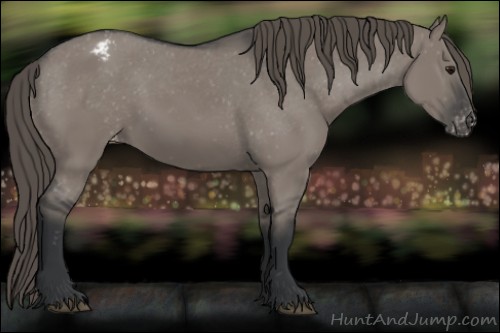Horse Color:Grullo Appaloosa 