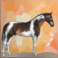 Horse Color:Gray Brown Tobiano