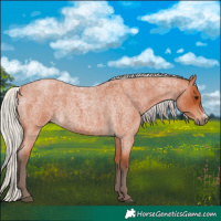 Horse Color:Silver Bay Roan Sabino 