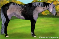 Horse Color:Void Watercolor Blue Onyx Tobiano Rabicano 