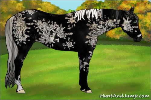 Horse Color:Void Palomino Ice Pearl Onyx Sabino 