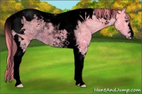 Horse Color:Void Watercolor Chestnut Ice Tobiano Varnish Rabicano 