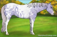 Horse Color:Watercolor Silver Black Ice Sabino Tobiano Blanket Rabicano 