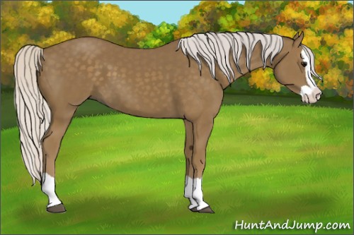 Horse Color:Silver Smoky Black Splash