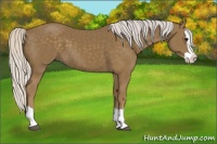 Horse Color:Silver Smoky Black Splash 
