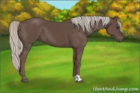 Horse Color:Silver Black 