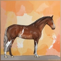Horse Color:White Spotted Silver Brown