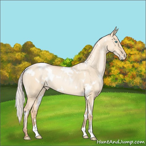 Horse Color:White Spotted Silver Sable Champagne Pearl Dun