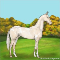 Horse Color:White Spotted Silver Sable Champagne Pearl Dun 