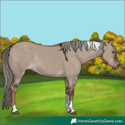 Horse Color:Liver Red Dun Mushroom Tobiano Rabicano 