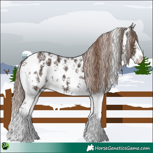 Horse Color:Liver Chestnut Sabino Splash Near Leopard