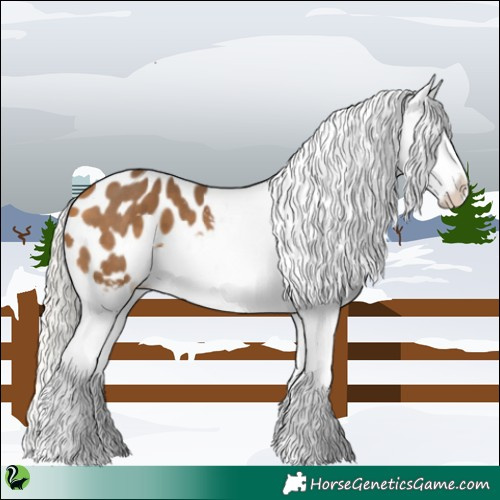 Horse Color:White Spotted Silver Buckskin Tobiano Blanket