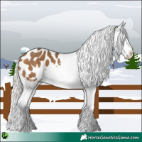 Horse Color:White Spotted Silver Buckskin Tobiano Appaloosa 