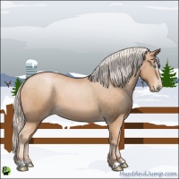 Horse Color:Silver Buckskin Pearl Sabino 
