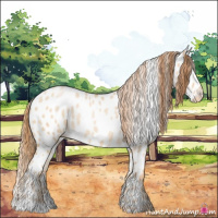 Horse Color:Smoky Grullo Pearl Appaloosa 
