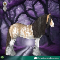 Horse Color:Buckskin Dun Sabino 