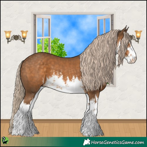 Horse Color:White Spotted Chocolate Palomino