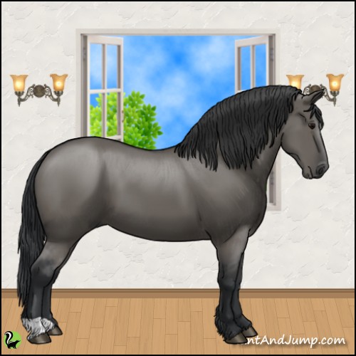 Horse Color:Grullo 
