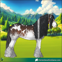Horse Color:White Spotted Brown 
