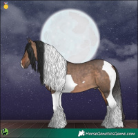 Horse Color:Brown Dun Tobiano 