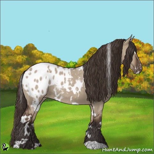 Horse Color:White Spotted Liver Red Dun Blanket 