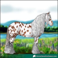 Horse Color:Bay Sabino Near Leopard 