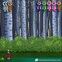 Horse Color:Black Near Leopard 