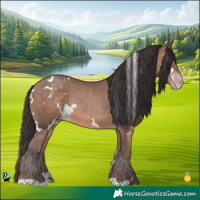 Horse Color:White Spotted Sable Champagne 