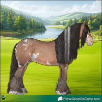 Horse Color:White Spotted Sable Champagne